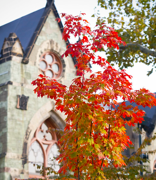 Autumn at Penn